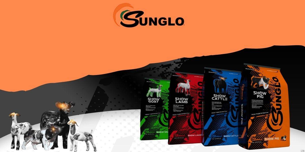 Sunglo Show Feed Seminar